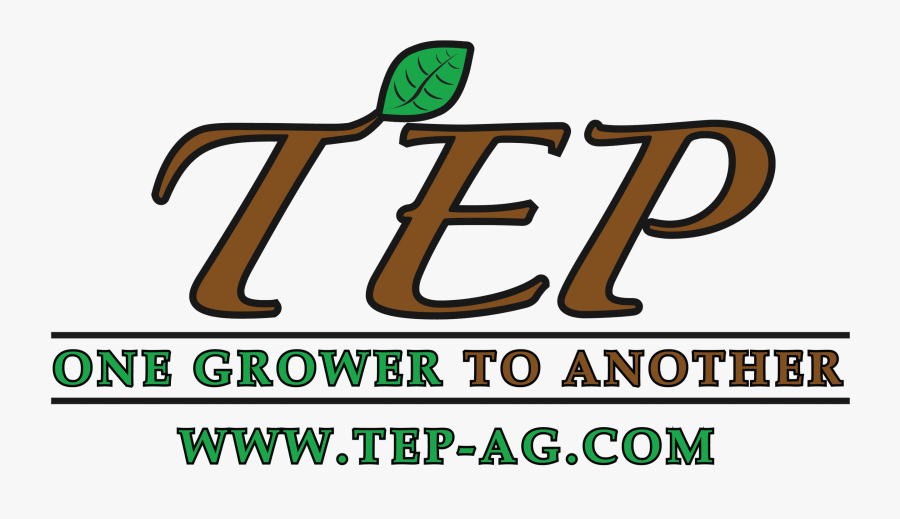 Image4, Transparent Clipart