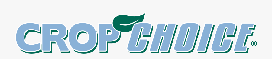 Graphic Design, Transparent Clipart