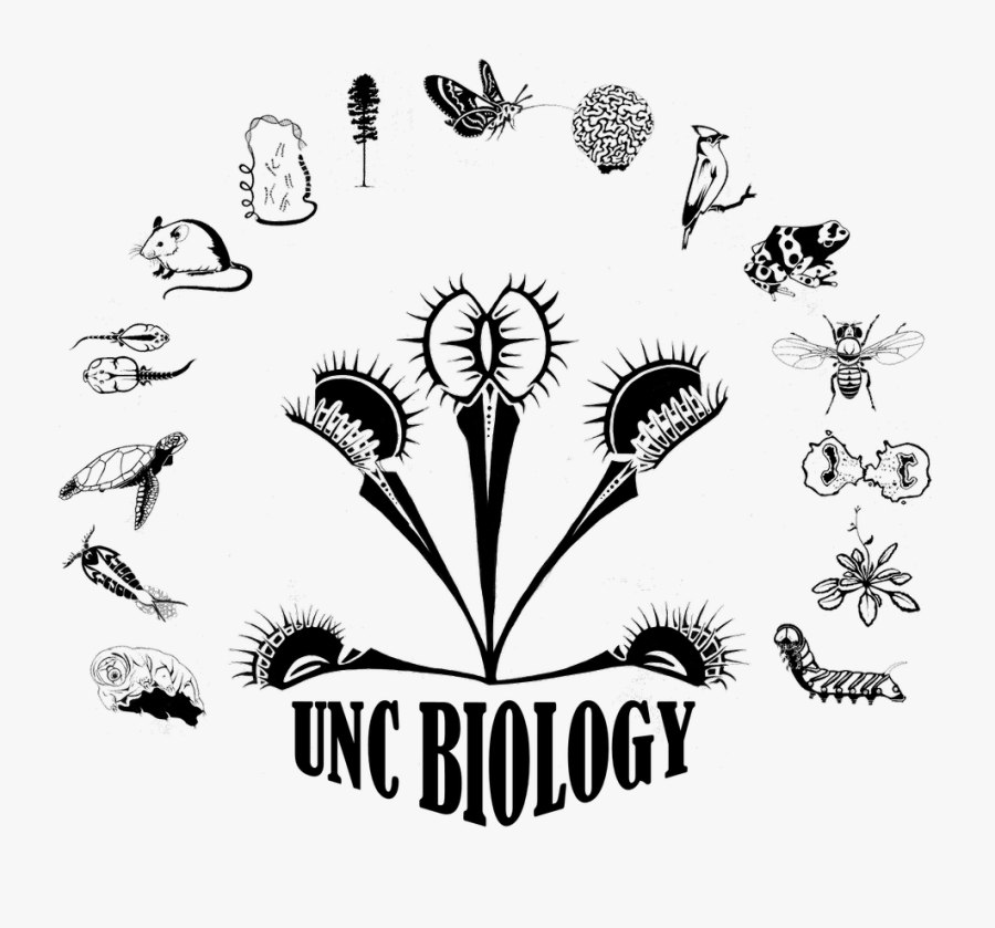 Illustration, Transparent Clipart