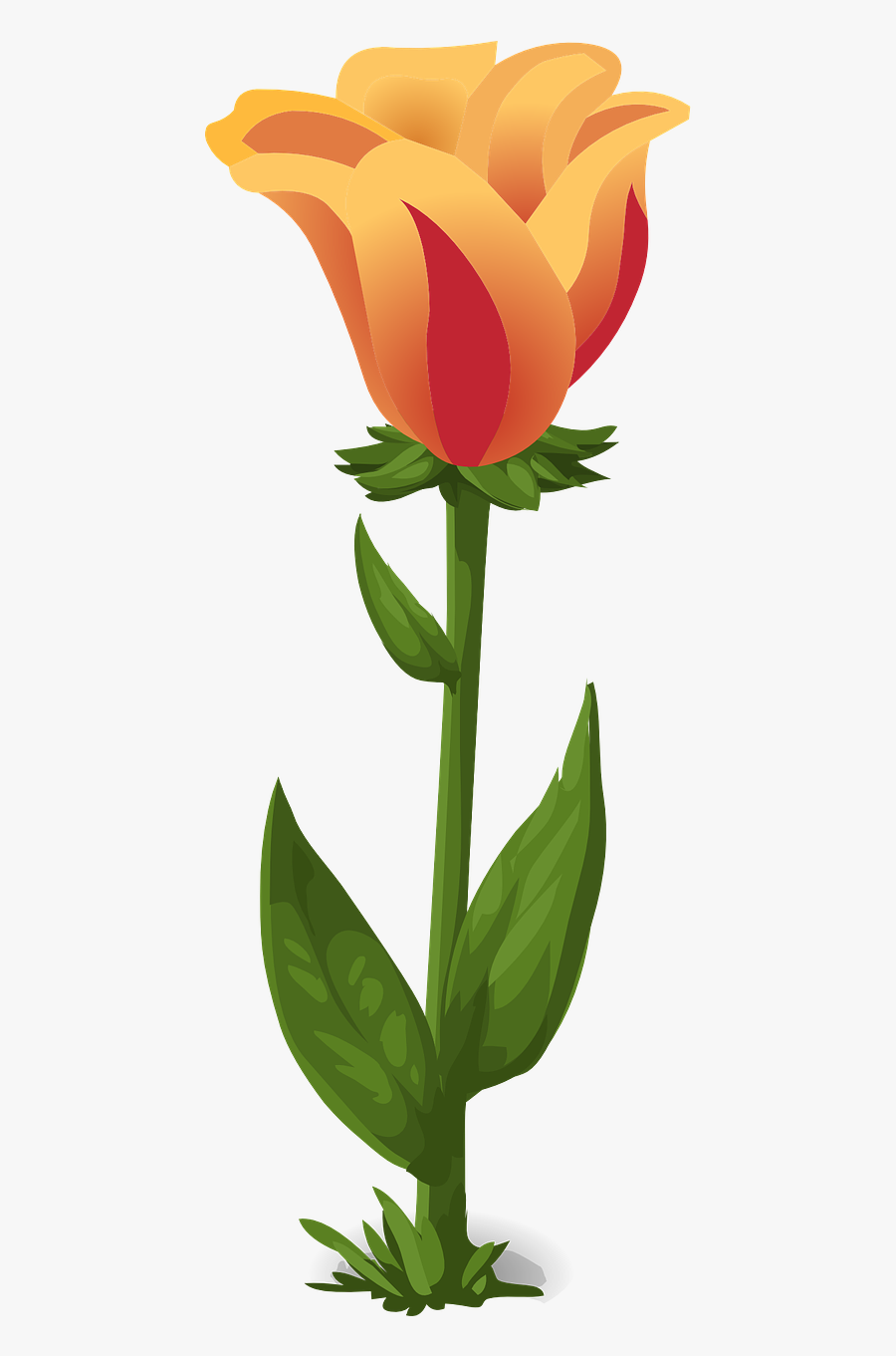 Tulips Plants Flowers Free Picture - Plantas De Flores Png, Transparent Clipart