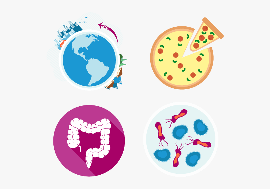 Latin American Social Sciences Institute, Transparent Clipart