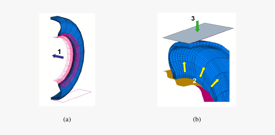 3d Tire Model For Vertical Loading Analysis, With Analysis, Transparent Clipart