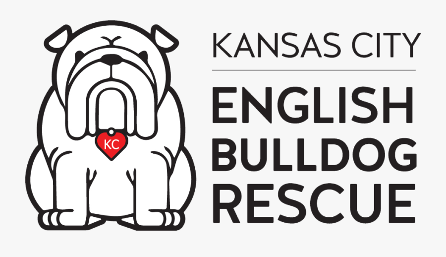 English Bulldog, Transparent Clipart