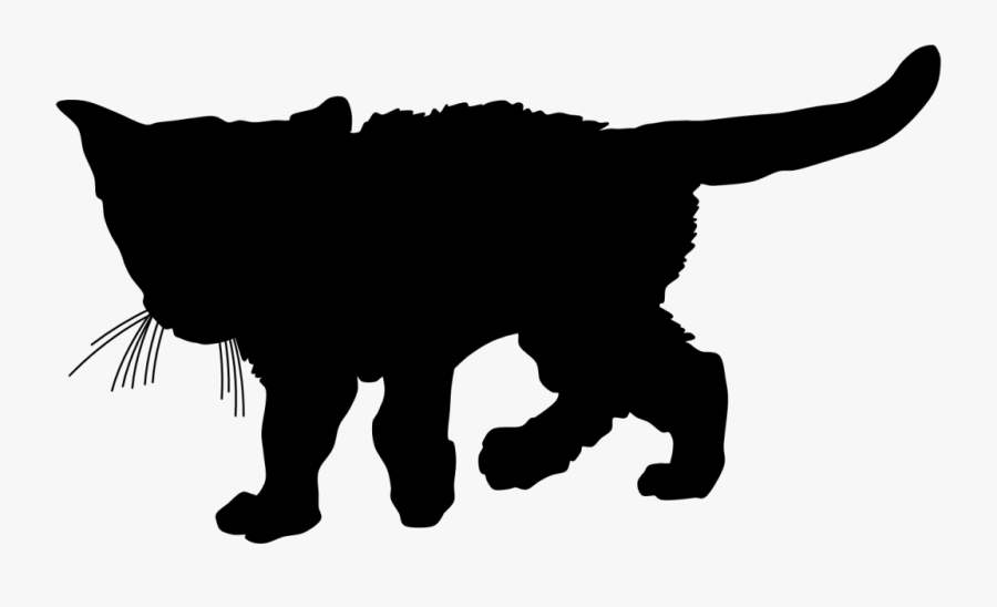 Somali Cat Whiskers Wildcat Silhouette Kitten - Gato Montes Silueta Png, Transparent Clipart