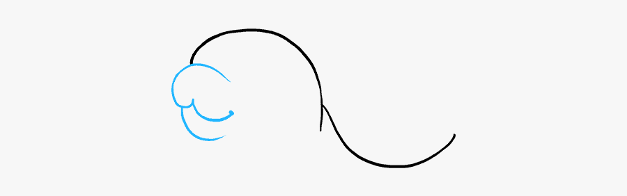 How To Draw Baby Seal, Transparent Clipart