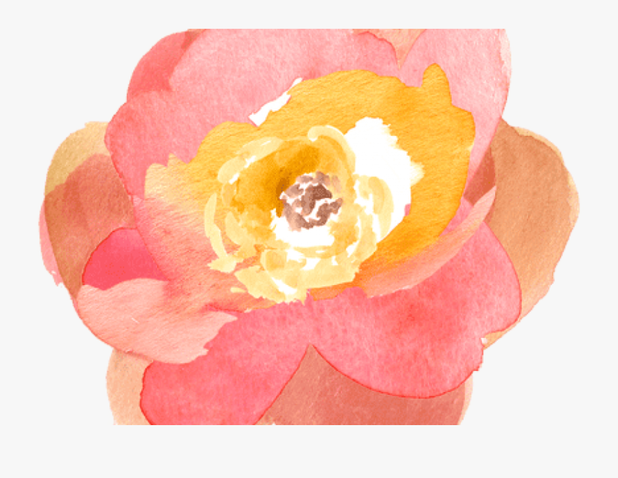 Free Png Download Watercolor Orange Flowers Png Images - Watercolor Flower Clip Art Peach, Transparent Clipart