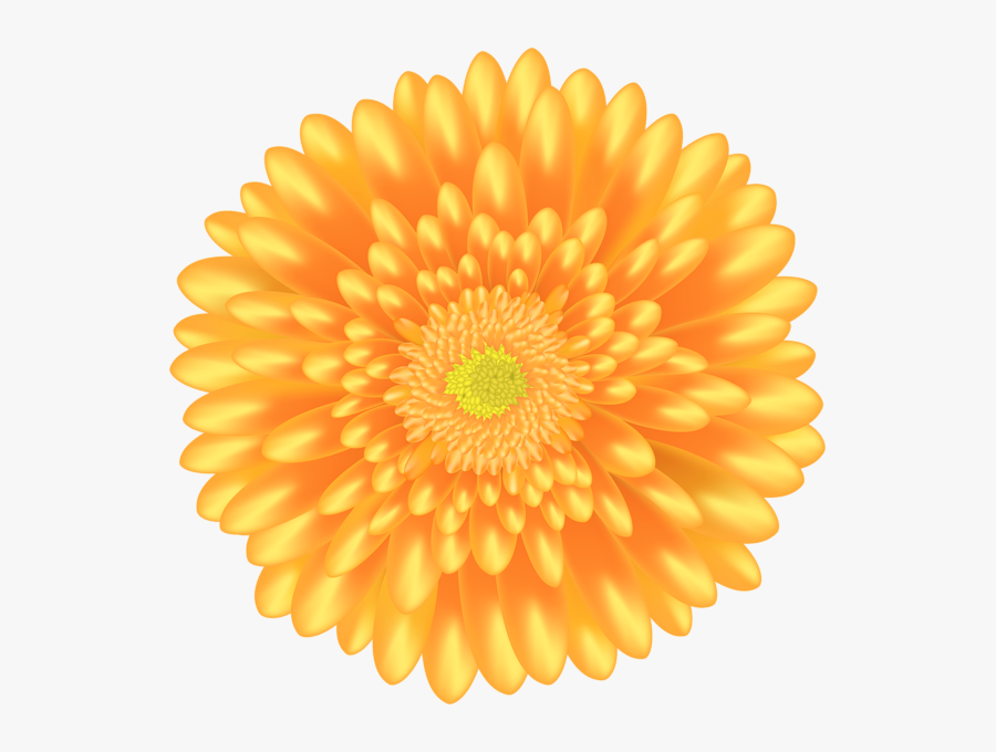 Portable Network Graphics, Transparent Clipart