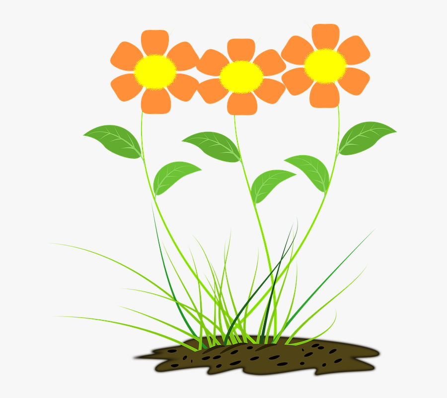 Flower, Orange, Nature, Orange Flower - Cartaz Numeros E Quantidades, Transparent Clipart