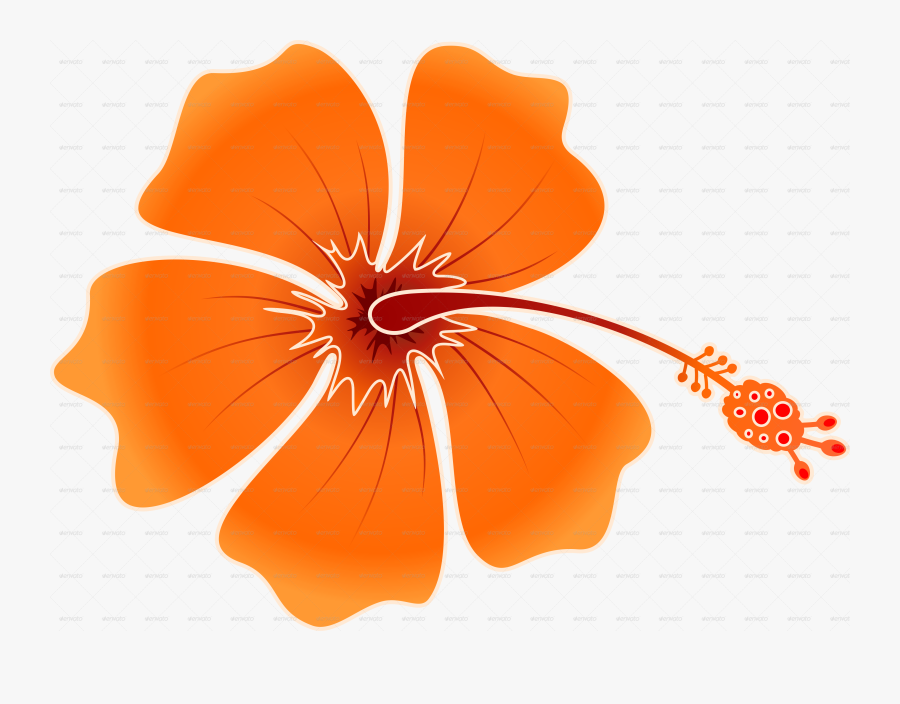 Png Hibiscus Flowers Patterns - Hawaiian Orange Flower Vector Png, Transparent Clipart