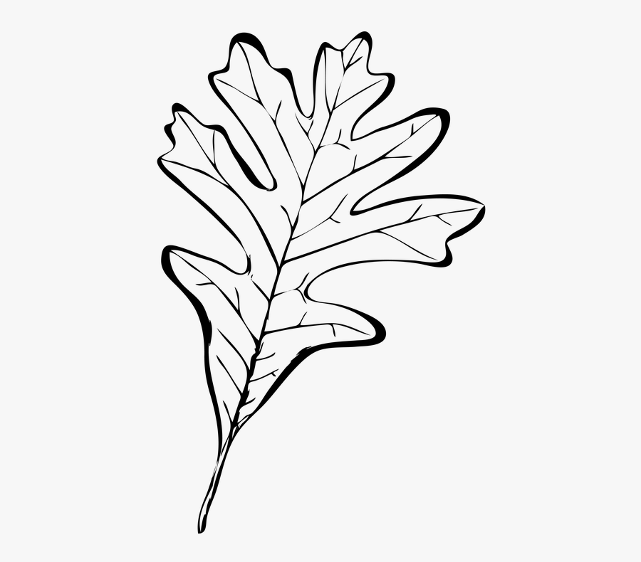 Autumn Leaves Black And White Png Clipart , Png Download - Autumn Leaves Black And White Png, Transparent Clipart