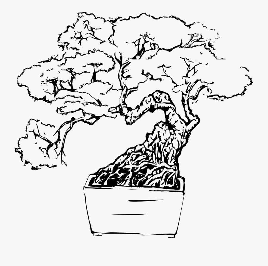 Bonsai Tree Line Drawing Free Transparent Clipart Clipartkey