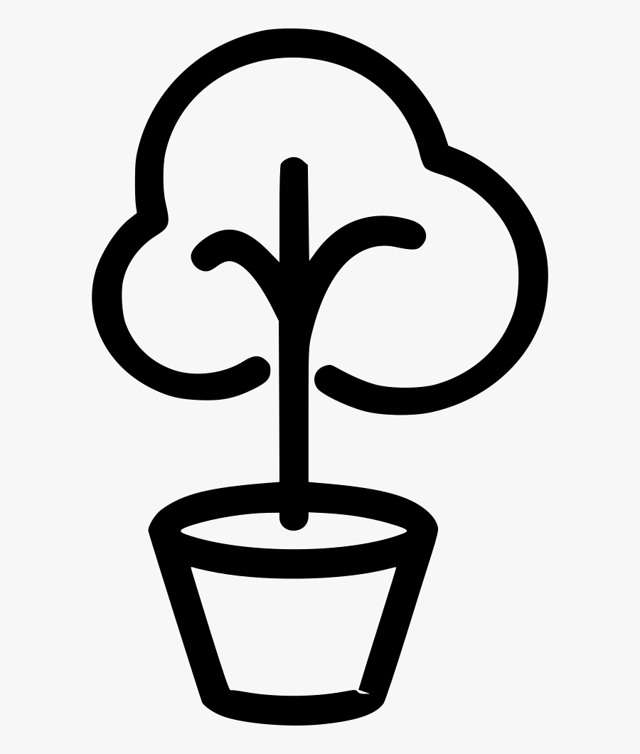 Bonsai, Transparent Clipart