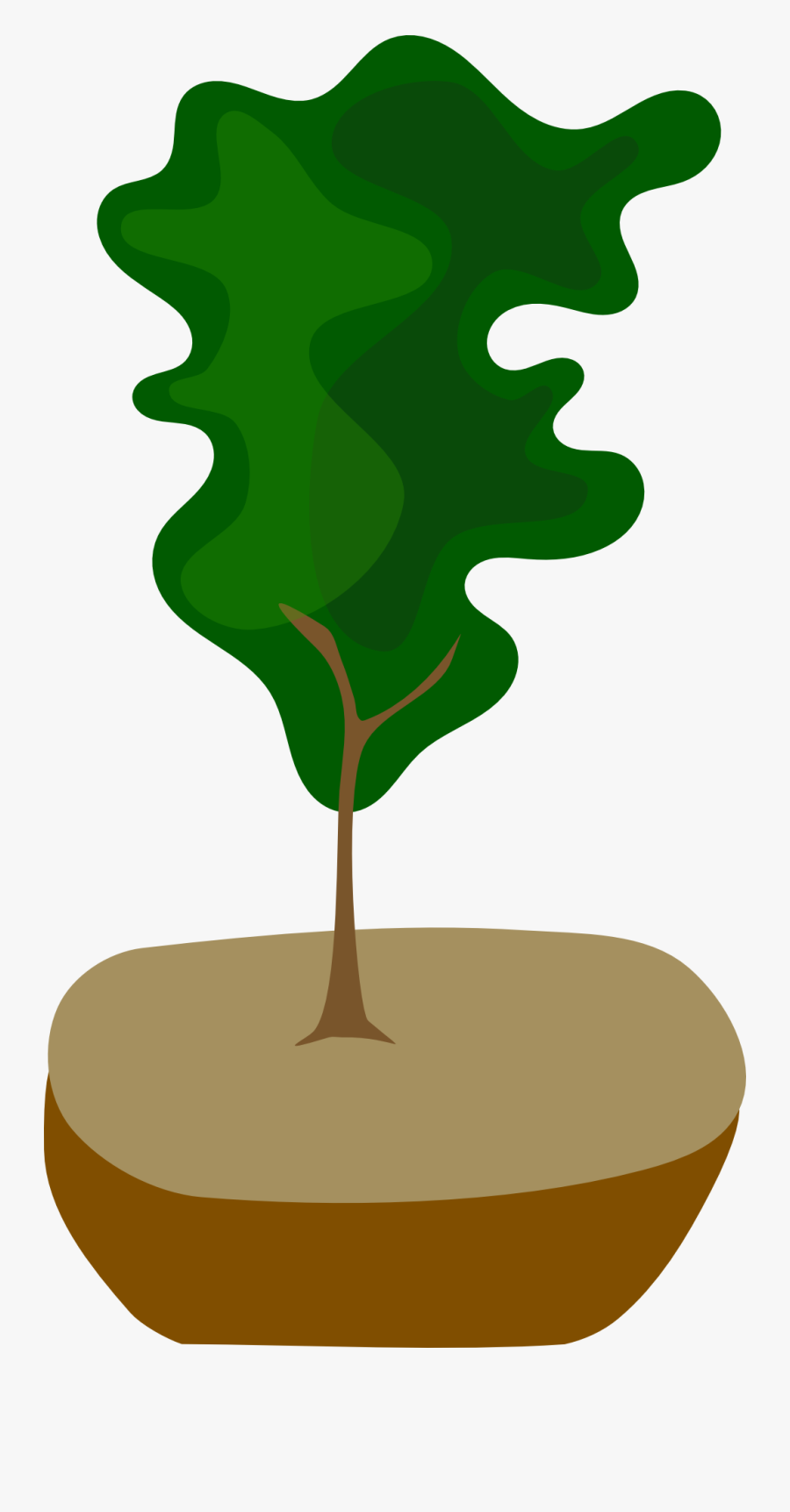 Bonsai, Transparent Clipart