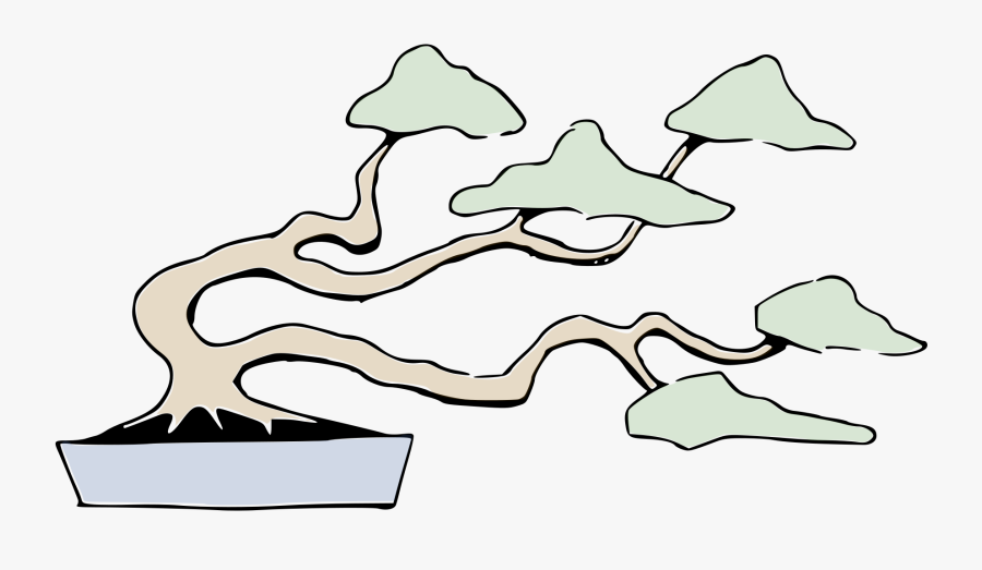 Bonsai Styles, Transparent Clipart