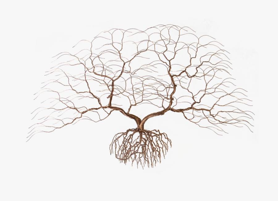 Pond Pine, Transparent Clipart