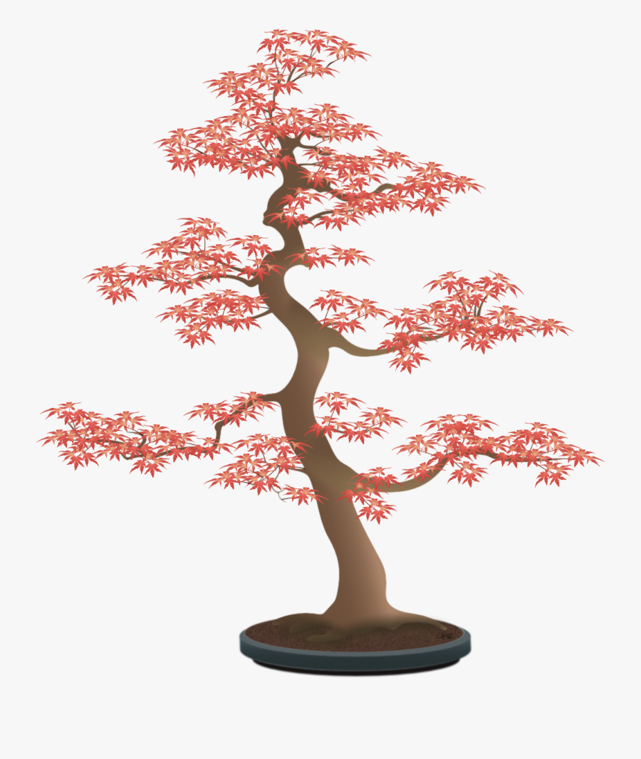 Bonsai - Bonsai Tree Leaves Drawing, Transparent Clipart