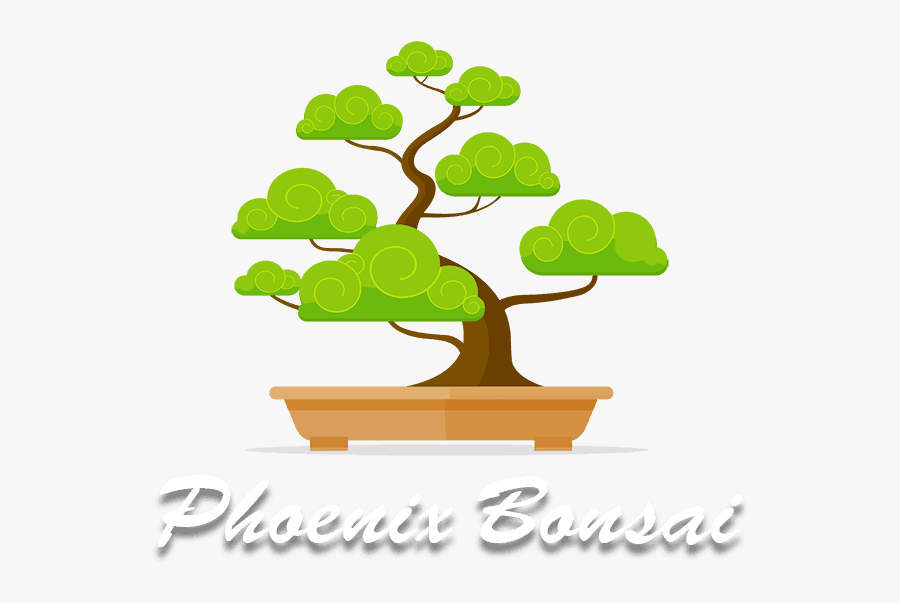 Vector Leaf Bonsai, Transparent Clipart
