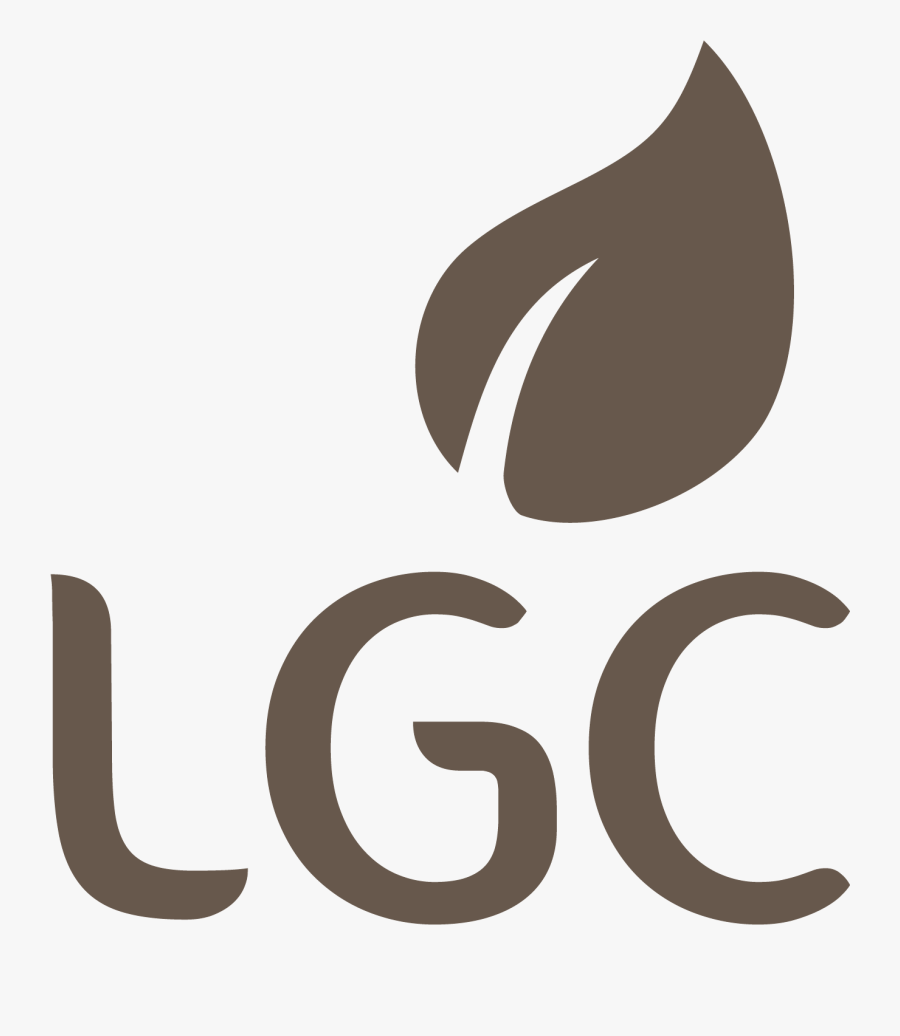 Graphic Design, Transparent Clipart