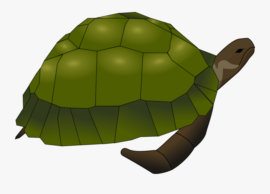 Turtle,plant,tortoise - Sea Turtle Clip Art, Transparent Clipart