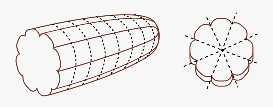 Line Art, Transparent Clipart