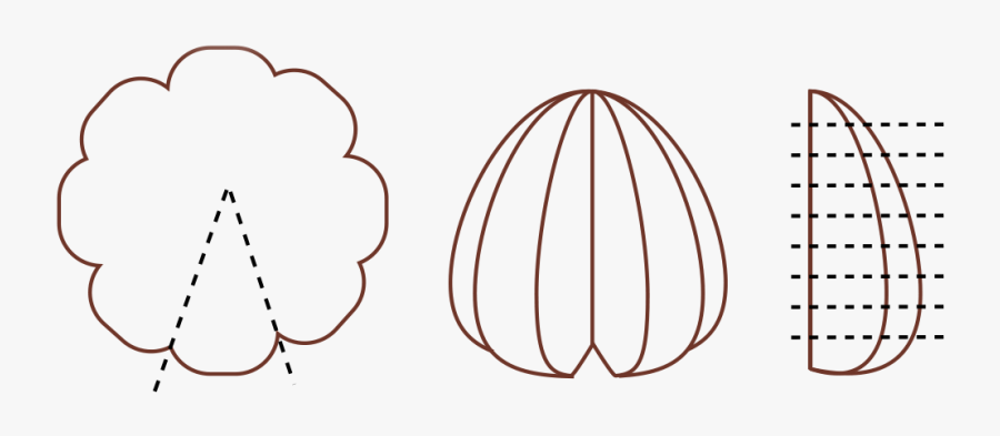 Clip Art, Transparent Clipart