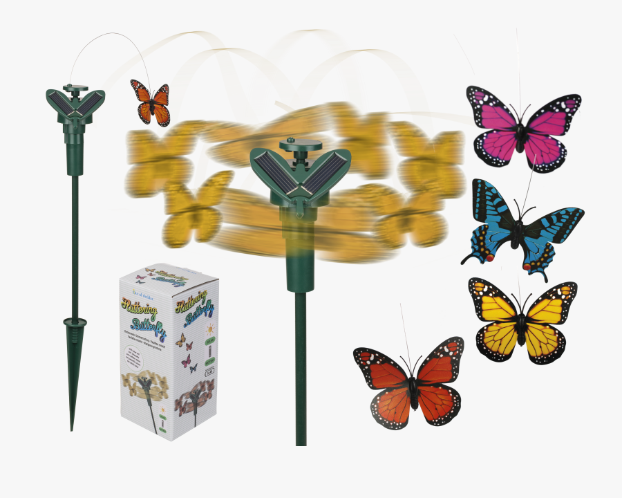 Papilio, Transparent Clipart