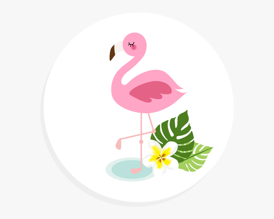 Kids Parties - Tropical - Greater Flamingo, Transparent Clipart