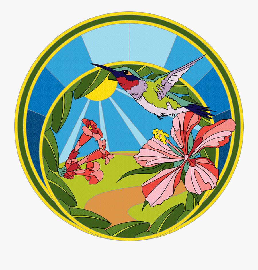 Circle, Transparent Clipart