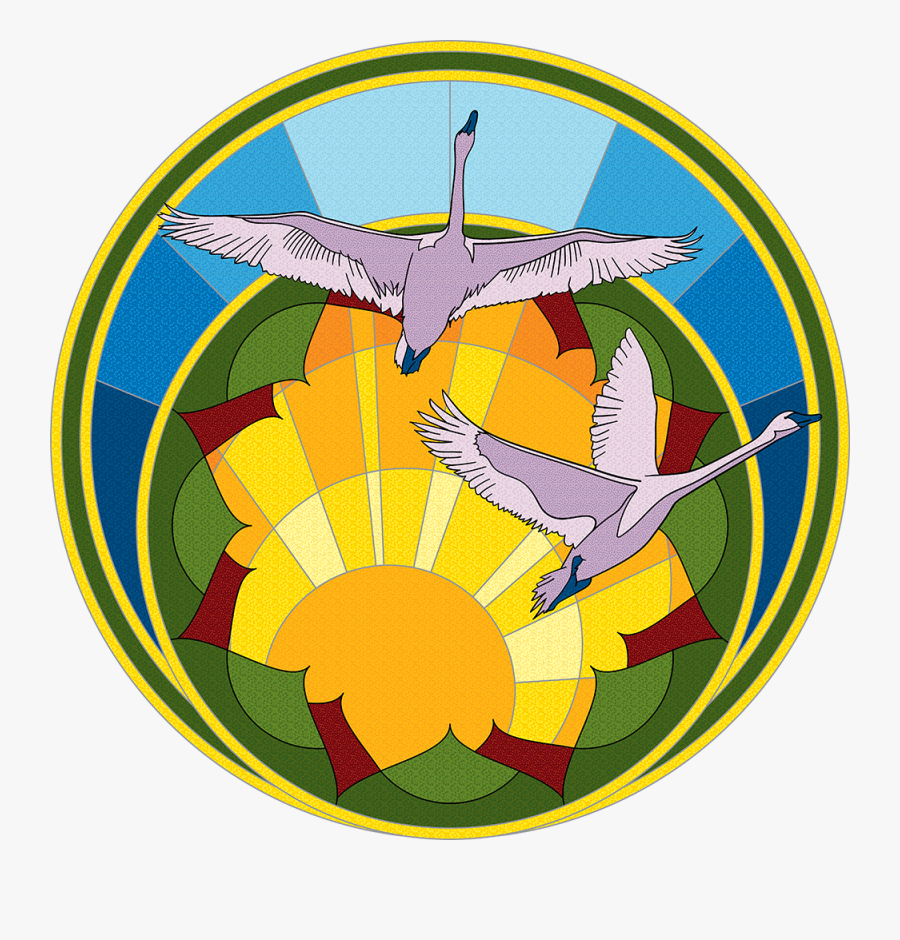 Circle, Transparent Clipart