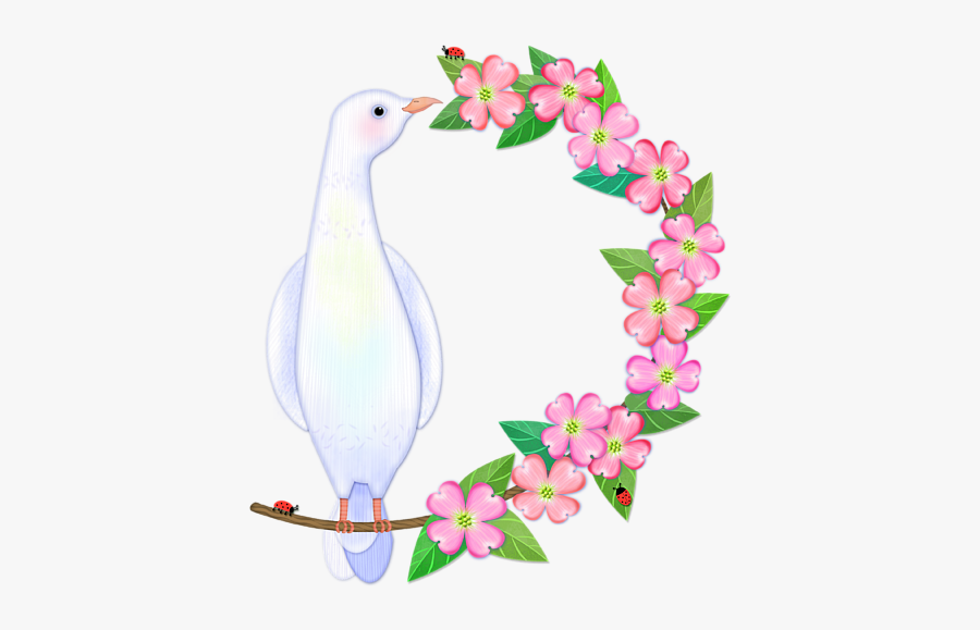 Duck, Transparent Clipart