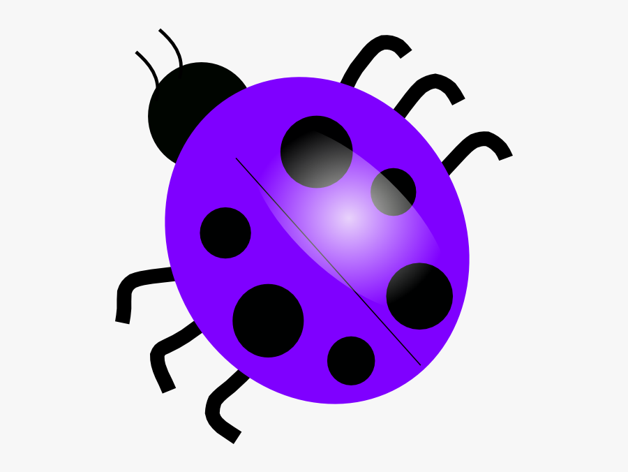 Beatle Clipart Purple - Ladybug Clip Art, Transparent Clipart