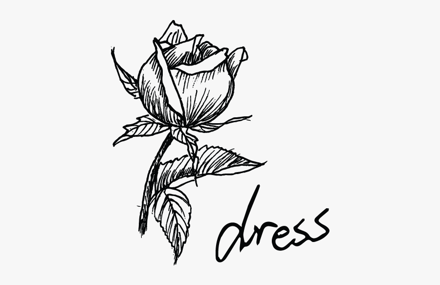 Sketch, Transparent Clipart