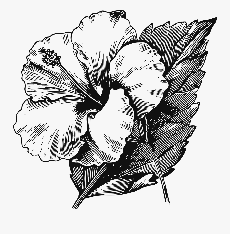 49bc Flower, Transparent Clipart