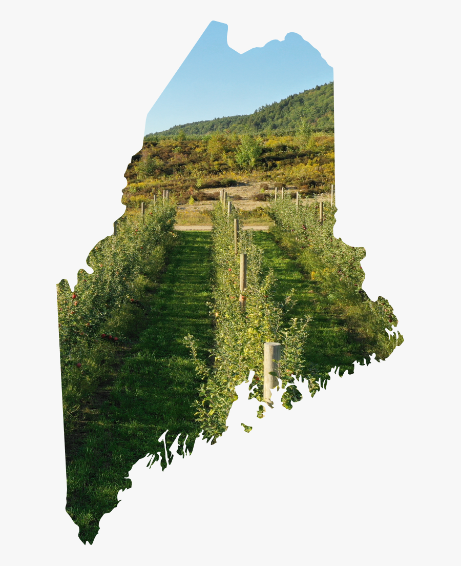 State Of Maine Home, Transparent Clipart