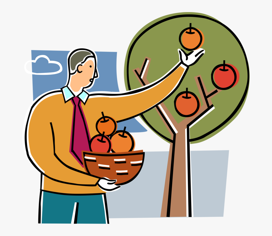 Vector Illustration Of Businessman Picks Ripe Fruit, Transparent Clipart