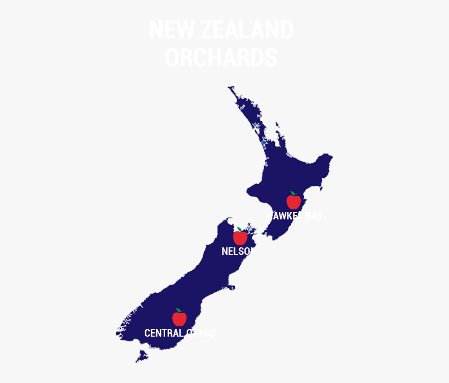Vector New Zealand Map, Transparent Clipart
