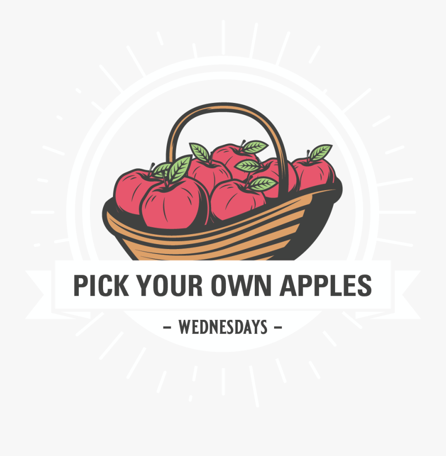 Pick Your Own Apples Clipart, Transparent Clipart