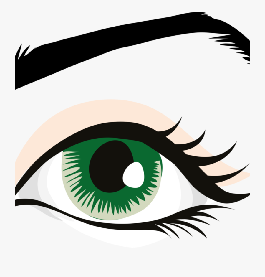 Eye Clipart Human Eye - Eye Brow Clip Art, Transparent Clipart
