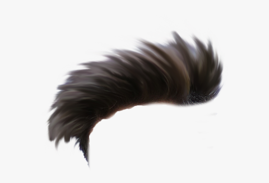 Donald Trump Hair Png -cb Editing Hair Png Download - Hair Png For Picsart, Transparent Clipart