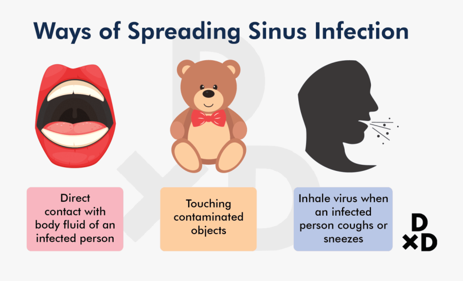 Sinus Infection Contagious, Transparent Clipart