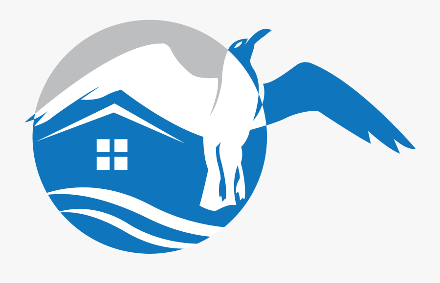 Seagull"s Rest, Transparent Clipart