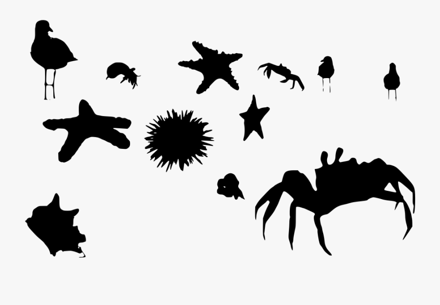 Jellyfish Svg Sea Horse Sea Urchin Transparent Png Free Transparent Clipart Clipartkey