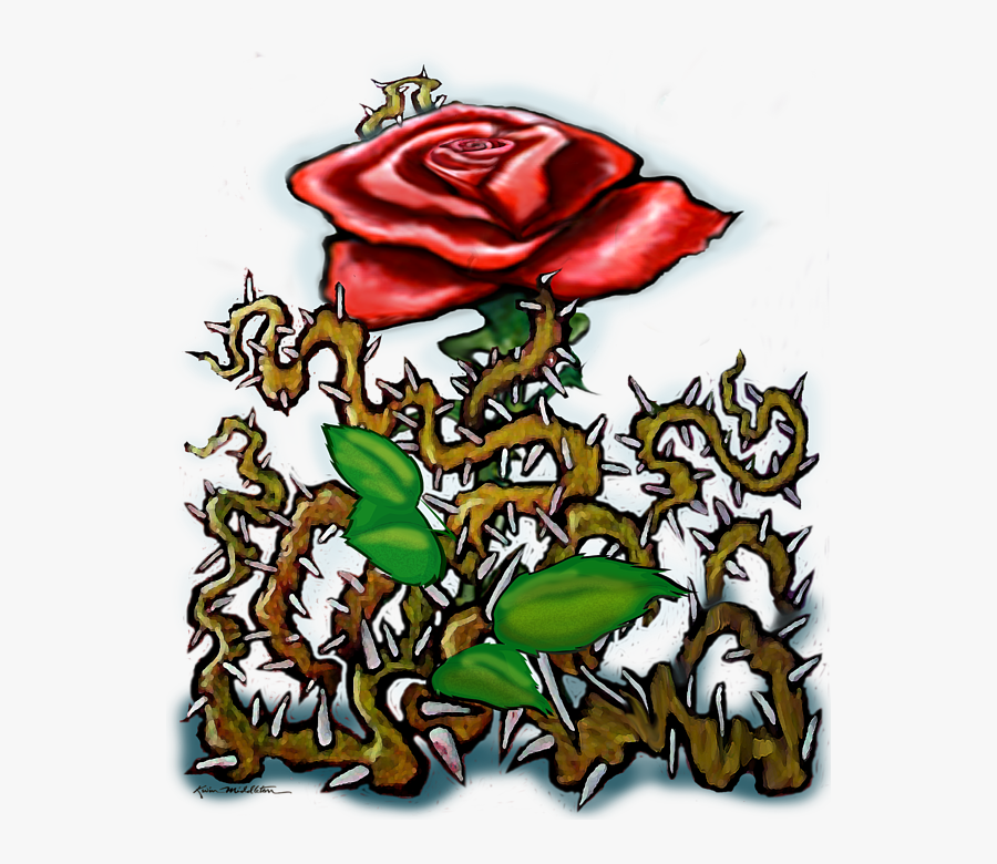 Hybrid Tea Rose, Transparent Clipart