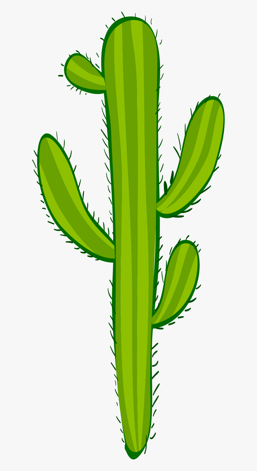 Hedgehog Cactus, Transparent Clipart