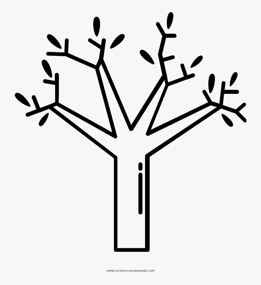 Olive Tree Coloring Page, Transparent Clipart