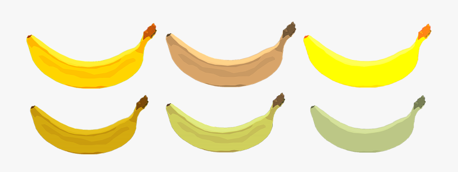 Banana Fruit Bananas Free Picture - Illustration Bananas, Transparent Clipart