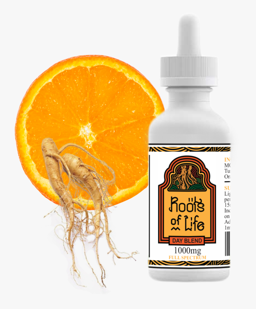 Clip Art Tincture Mg Chs Sales - Bottle, Transparent Clipart