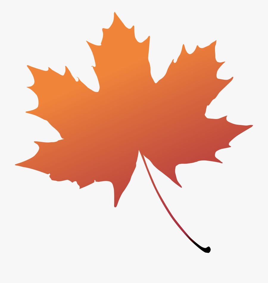 Maple Leaf Boxelder Maple Tree Plant - Green Maple Leaf Png, Transparent Clipart