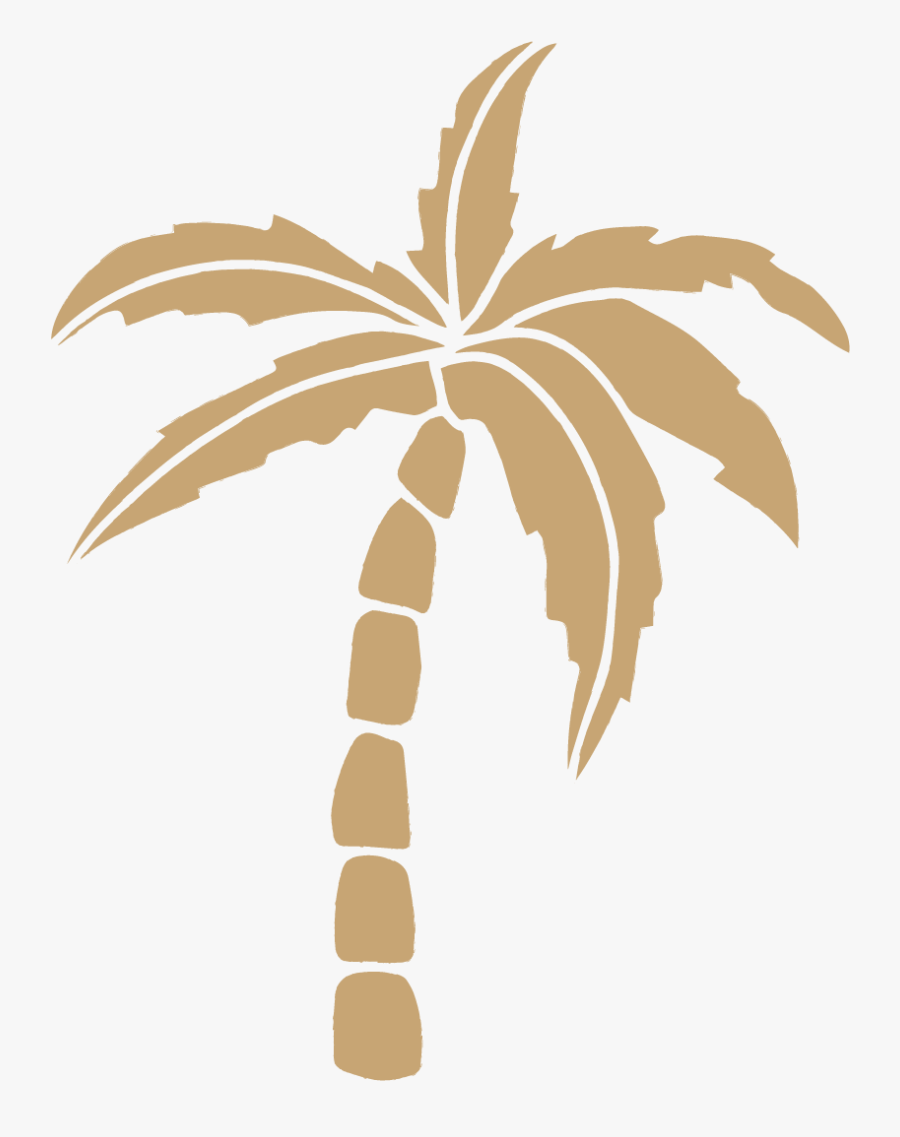 Attalea Speciosa, Transparent Clipart