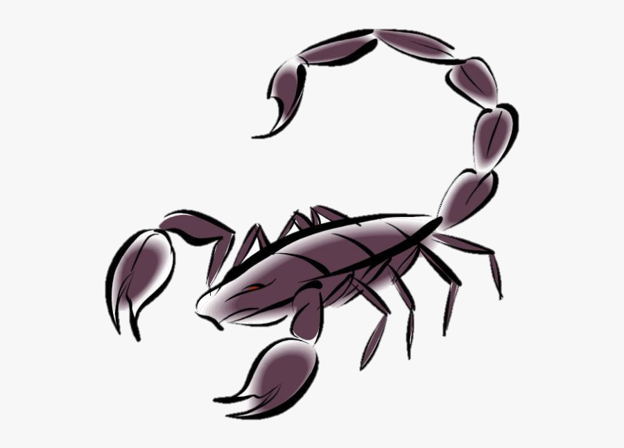 Sonoran Trails Middle School, Transparent Clipart